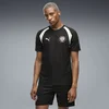 PUMA FC St. Pauli Club Slim Training Jersey Men, Clothing, Black/Sage Glow, S