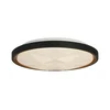 Searchlight 26185-415 - LED prigušiva plafonska svetiljka SATELLITE 25W/230V 3000-6000K + daljinski upravljač