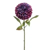 Dalija vijolična 77 cm XL - vijolična - 76 do 100 cm
