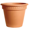 Saksija camellia 32cm
