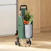 vidaXL vidaXL Nakupovalni voziček s plezalnim kolesom Zelena 38 L, (22094805)