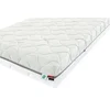 Mountfield Mountfield Vzmetnica Aloe Memory 22 (80x200 cm)