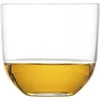 Schott Zwiesel Rooftop kozarec za viski, prostornina 0,314 l (6 kos)
