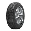 Riken Snow ( 215/60 R17 96H DOT2022 )