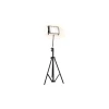 LED reflektor sa stalkom za uzgoj biljaka FIRON LED/45W/230V IP54 crna