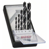 BOSCH Set spiralnih burgija za drvo Robust Line 5/1 2607010527