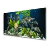 tulup.si Slika na akrilnem steklu Fish aquarium narava 140x70 cm 4 obešalnika