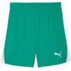 Puma Kratke hlače teamLIGA26