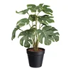 Veštačka Biljka Spliphilodendron