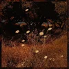 Szun Waves - Earth Patterns (LP)