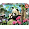Puzzle Pande