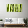 tulup.si Slika na steklu Bamboo rastlin narava 125x50 cm 2 obešalnika
