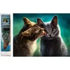 Norimpex Diamantna slika Cat love 30x40cm