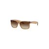 Ray-Ban RB4165 681413