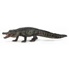 COLLECTA Ameriški aligator