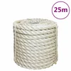 Vidaxl Vrv iz 100 % sisala 20 mm 25 m