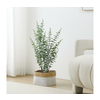 Eglo 428378 - Veštačka biljka u saksiji TOBETSU 76x25,5 cm
