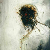 Peter Gabriel Passion (2 LP) 180 g