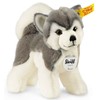 Steiff Bernie Husky 17 cm