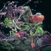 Konx-Om-Pax - Ways Of Seeing (CD)