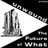 Unwound - The Future Of What (Reissue) (LP)