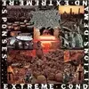 Brutal Truth - Extreme Conditions Demand Extreme Responses (Reissue) (LP)