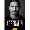 Adrenalin
