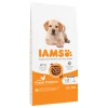 IAMS suha pasja hrana 12 kg - Advanced Nutrition Puppy Large s piščancem