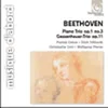 BEETHOVEN:PIANO TRIO OP.1/3