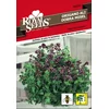 SEME ROYAL SEEDS 261 Origano