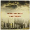 What We Feel & Last Hope - Split (7 SP)