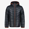 Icepeak DOWNLOOK