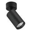 Plafonska lampa AFS121-1C BK