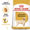 Royal Canin | Adult Labrador Retriever hrana za odrasle pse