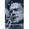 Little Life