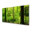 tulup.si Slika na steklu Green forest trees narava 140x70 cm 2 obešalnika