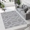 Conceptum Hypnose Tepih, 100x150cm, Sivi