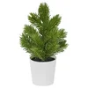 VINTERFINT Veštačka biljka u saksiji, unutra/spolja jelka/zelena, 6 cm