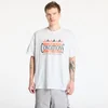 Majice Nike ACG Mens Dri-FIT T-Shirt Summit White S