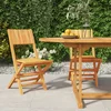 Sklopive vrtne stolice 2 kom 47x61x90 cm od masivne tikovine