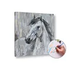 Slikanje po številkah BELI Golob | nizka težavnost - 50x50 cm - raztegnjeno platno na okvirju