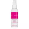 Intimina Intimate Accessory Cleaner
