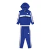 ADIDAS SPORTSWEAR Športna trenirka Essentials Tiberio kraljevo modra/svetlo modra/temno modra/bela