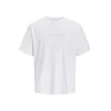 JACK & JONES Majica JORHyeres svetlo modra / svetlo siva / bela
