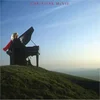 Christine Mcvie - Christine McVie (Limited Edition) (Reissue) (Remastered) (Coke Bottle Green Coloured) (LP)