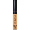 Golden Studio Skin Flawless tekoči korektor (24H korektor) 8 ml