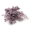 Stabiliziran Ruscus - (Ruscus) - Vijolična mat