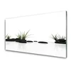 tulup.si Slika na steklu Grass water mirror 120x60 cm 2 obešalnika