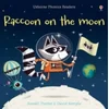 Raccoon on the Moon