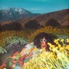 Brittany Howard - What Now (LP)